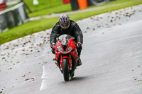 PJ-Motorsport-Photography-2020;anglesey;brands-hatch;cadwell-park;croft;donington-park;enduro-digital-images;event-digital-images;eventdigitalimages;mallory;no-limits;oulton-park;peter-wileman-photography;racing-digital-images;silverstone;snetterton;trackday-digital-images;trackday-photos;vmcc-banbury-run;welsh-2-day-enduro